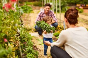 Agrilocal - Favoriser le circuit court en restauration collective